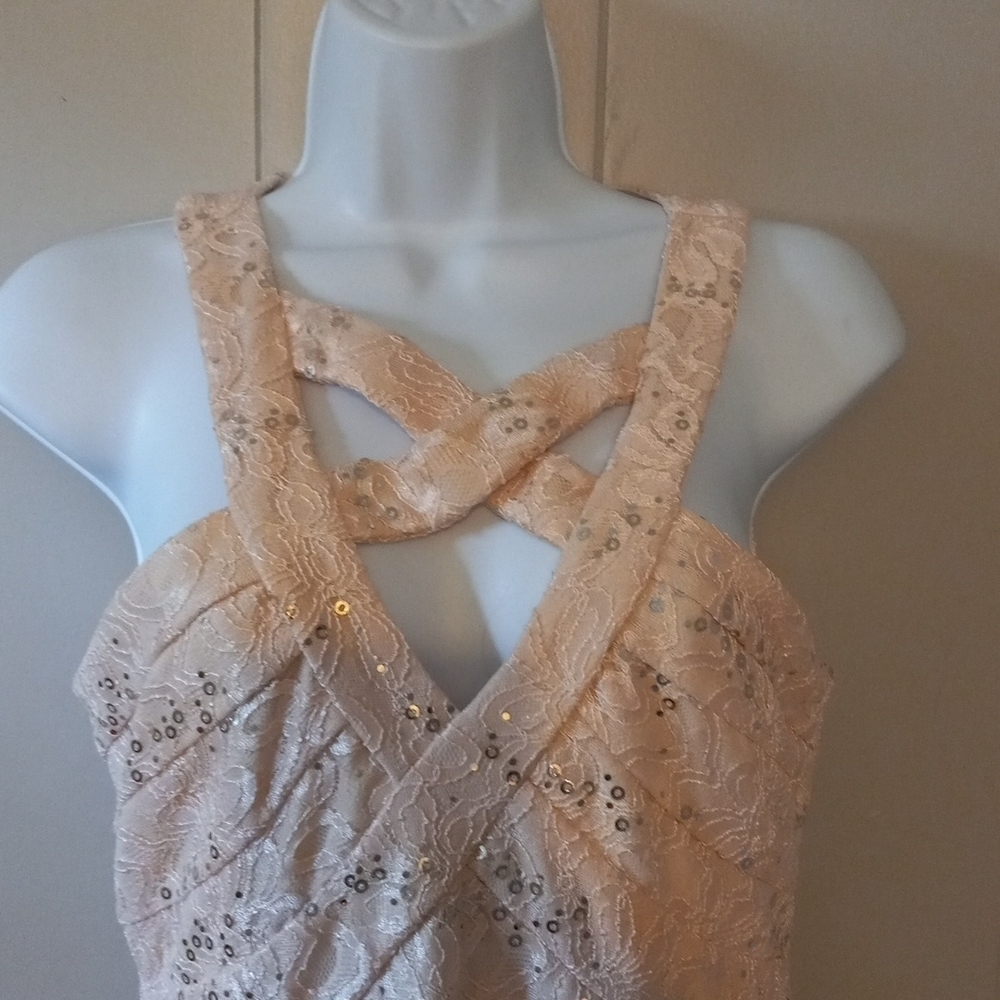 Crystal Doll pink cutout sequined lace dress in size 3. - Picture 4 of 8